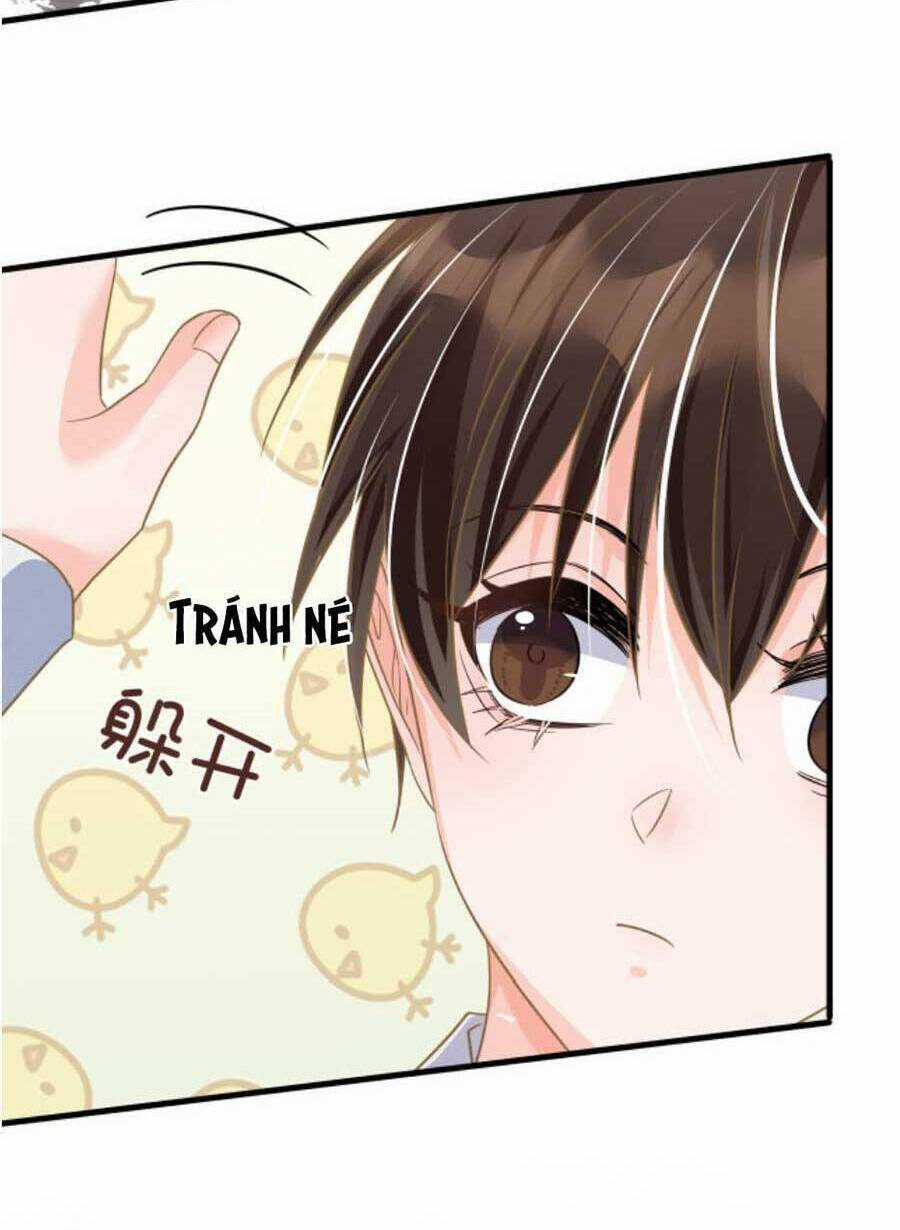 Kỷ Tổng Kiều Thê Vừa Hung Vừa Sủng Chapter 31 trang 19