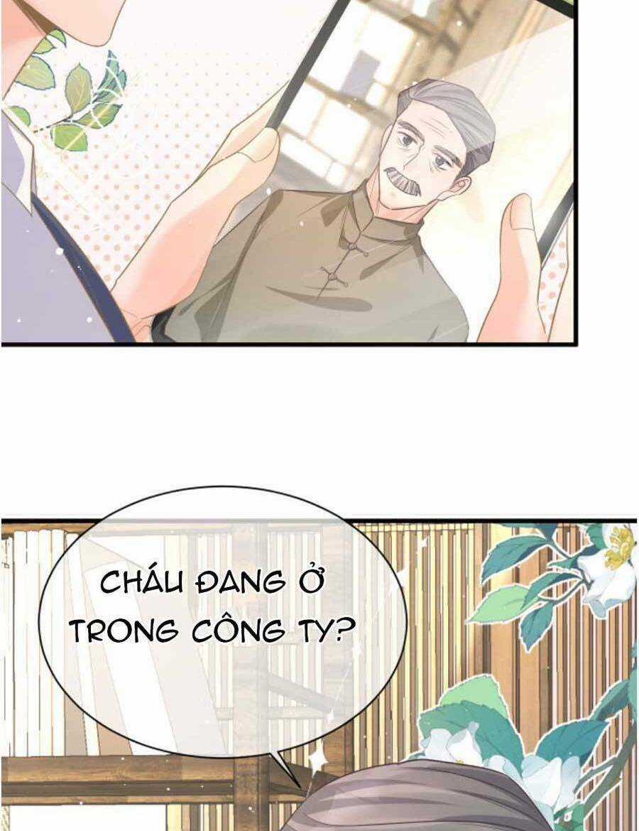 Kỷ Tổng Kiều Thê Vừa Hung Vừa Sủng Chapter 31 trang 4