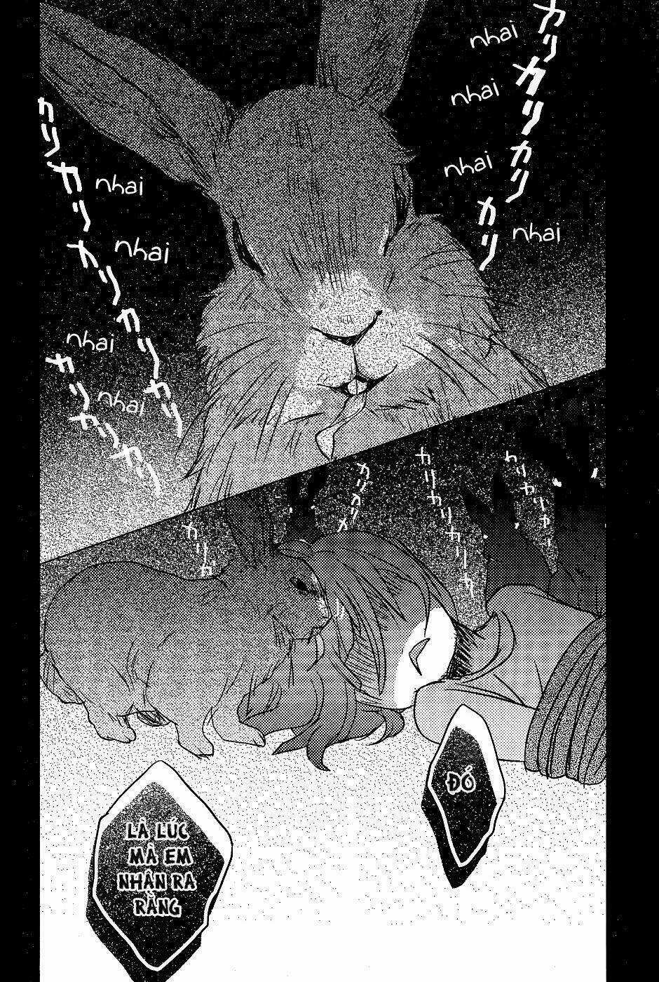 Ký Túc Xá Dễ Thương Chapter 73 trang 11