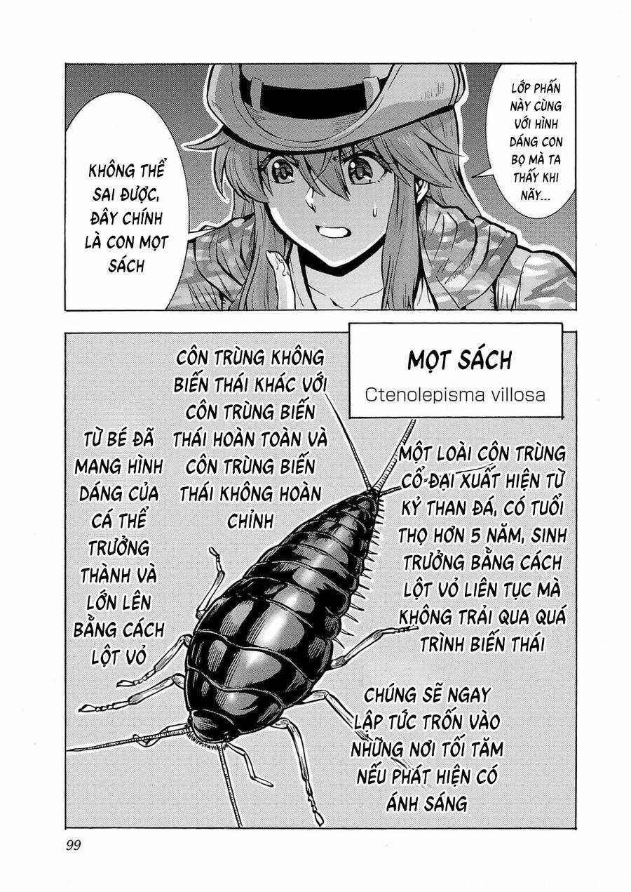 Kyochuu Rettou - Đảo Côn Trùng Chapter 64 trang 21