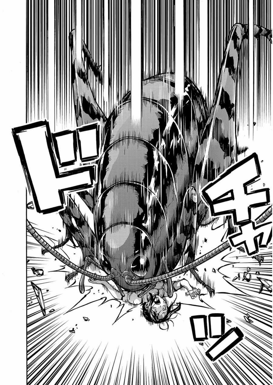 Kyochuu Rettou - Đảo Côn Trùng Chapter 66 trang 31