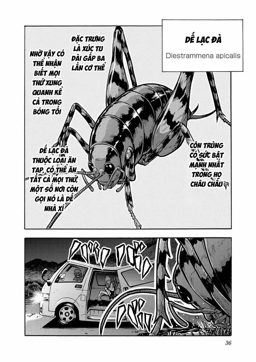 Kyochuu Rettou - Đảo Côn Trùng Chapter 66 trang 35