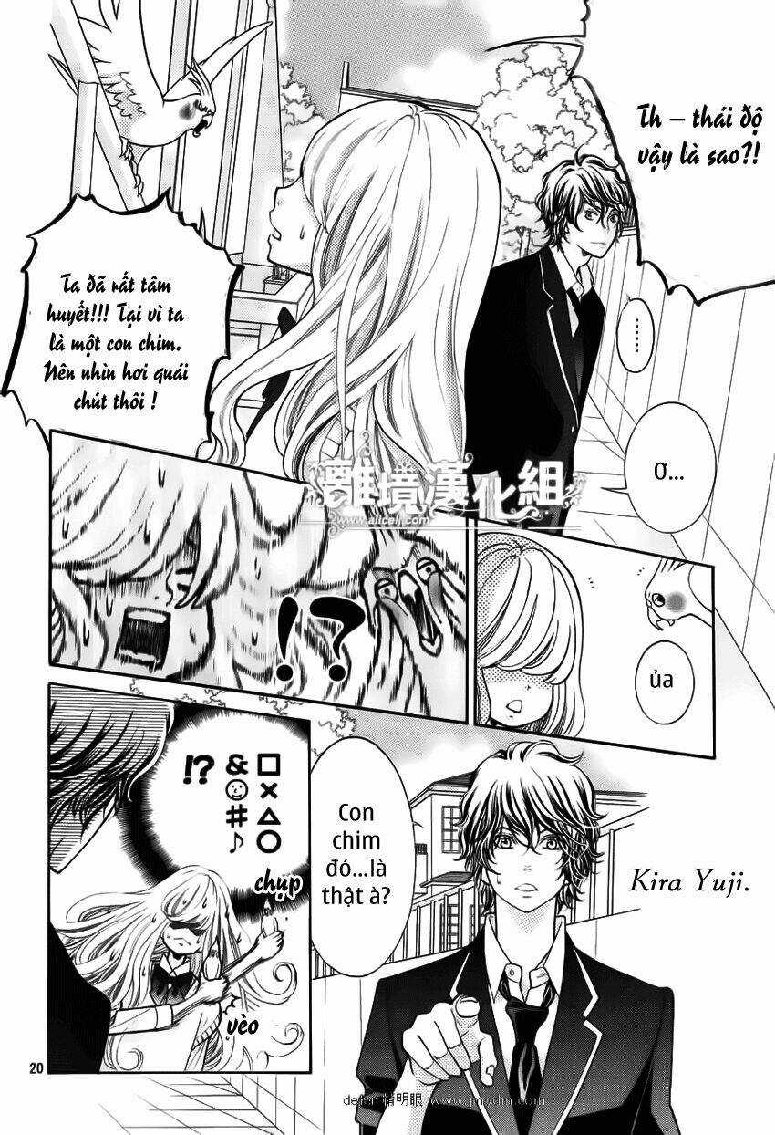 Kyou No Kira-Kun Chapter 1 trang 19