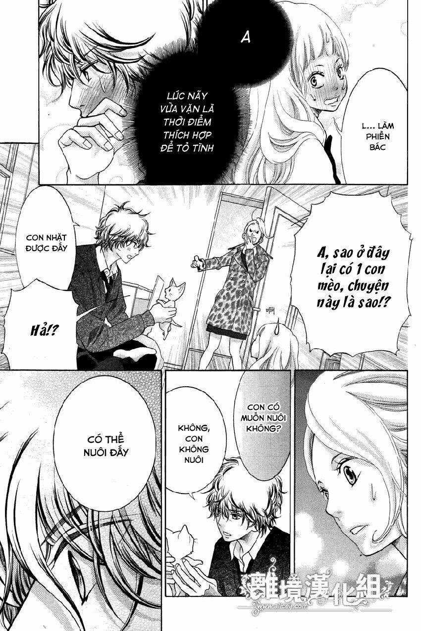 Kyou No Kira-Kun Chapter 13 trang 19