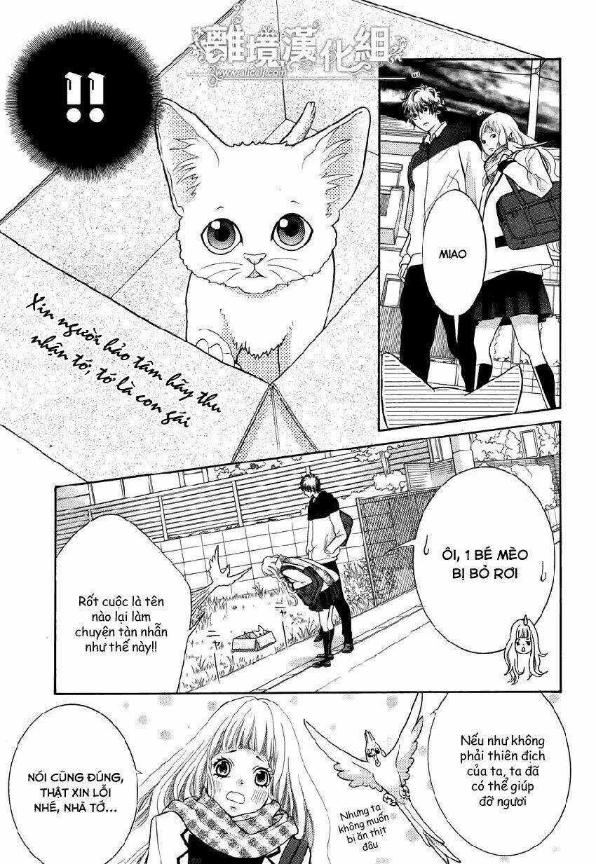 Kyou No Kira-Kun Chapter 13 trang 7