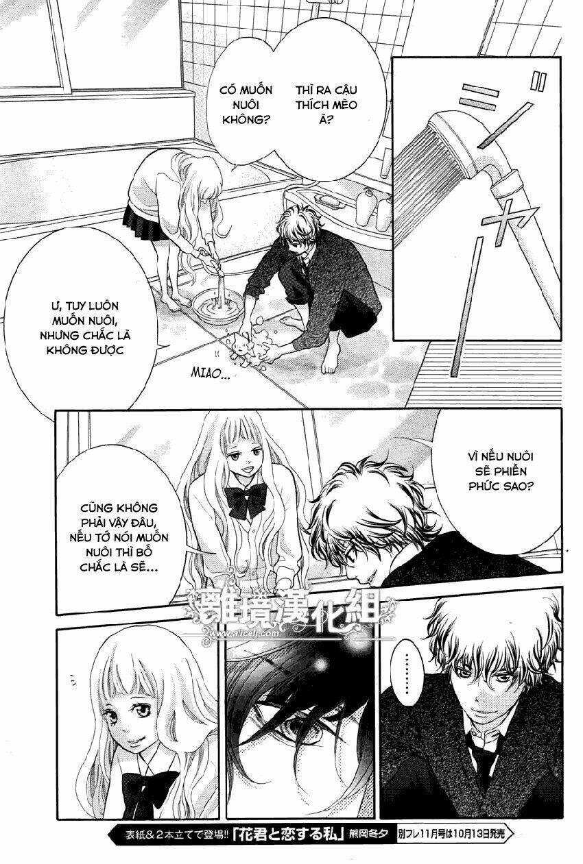 Kyou No Kira-Kun Chapter 13 trang 9
