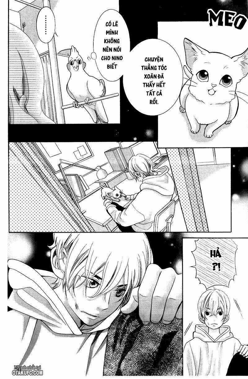 Kyou No Kira-Kun Chapter 20 trang 5