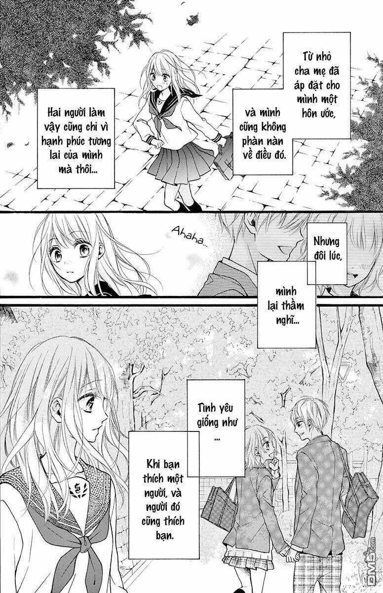 Kyutto Musunde, Suki Chapter 1 trang 4