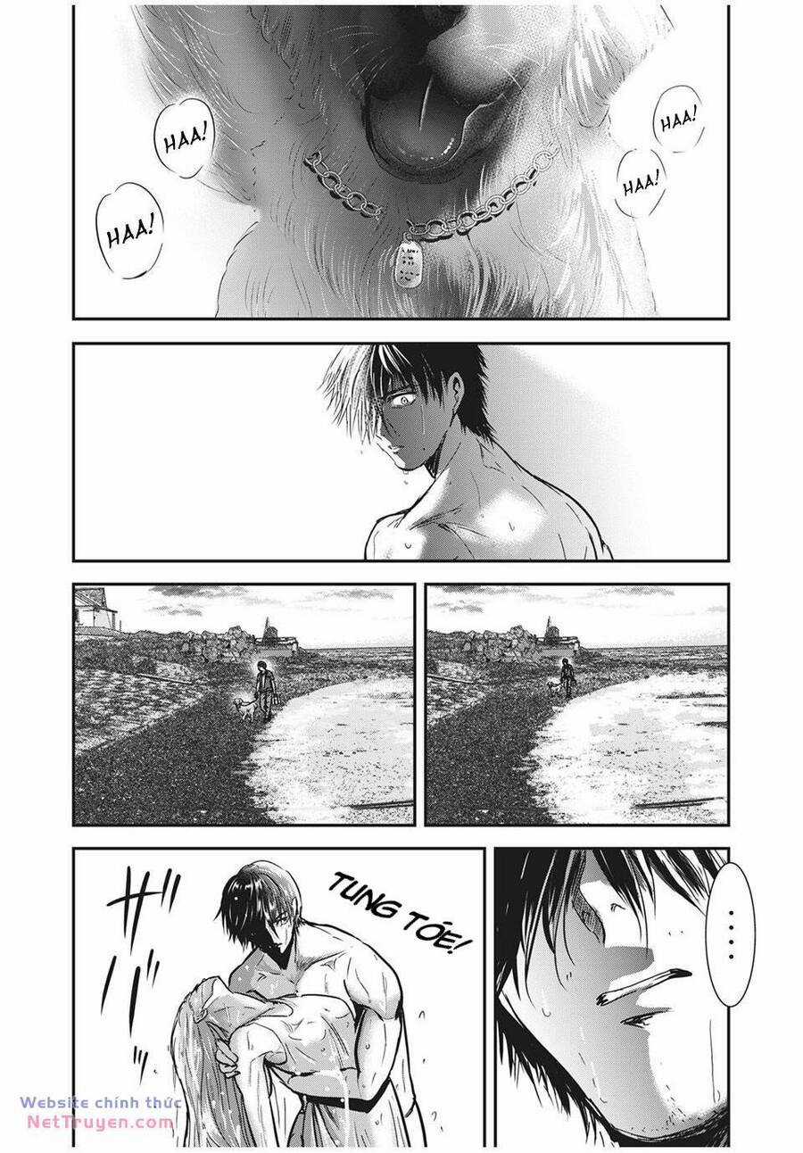 Là Healer Nhưng Lại Có Mặt Trên Chiến Trường Chapter 63 trang 5