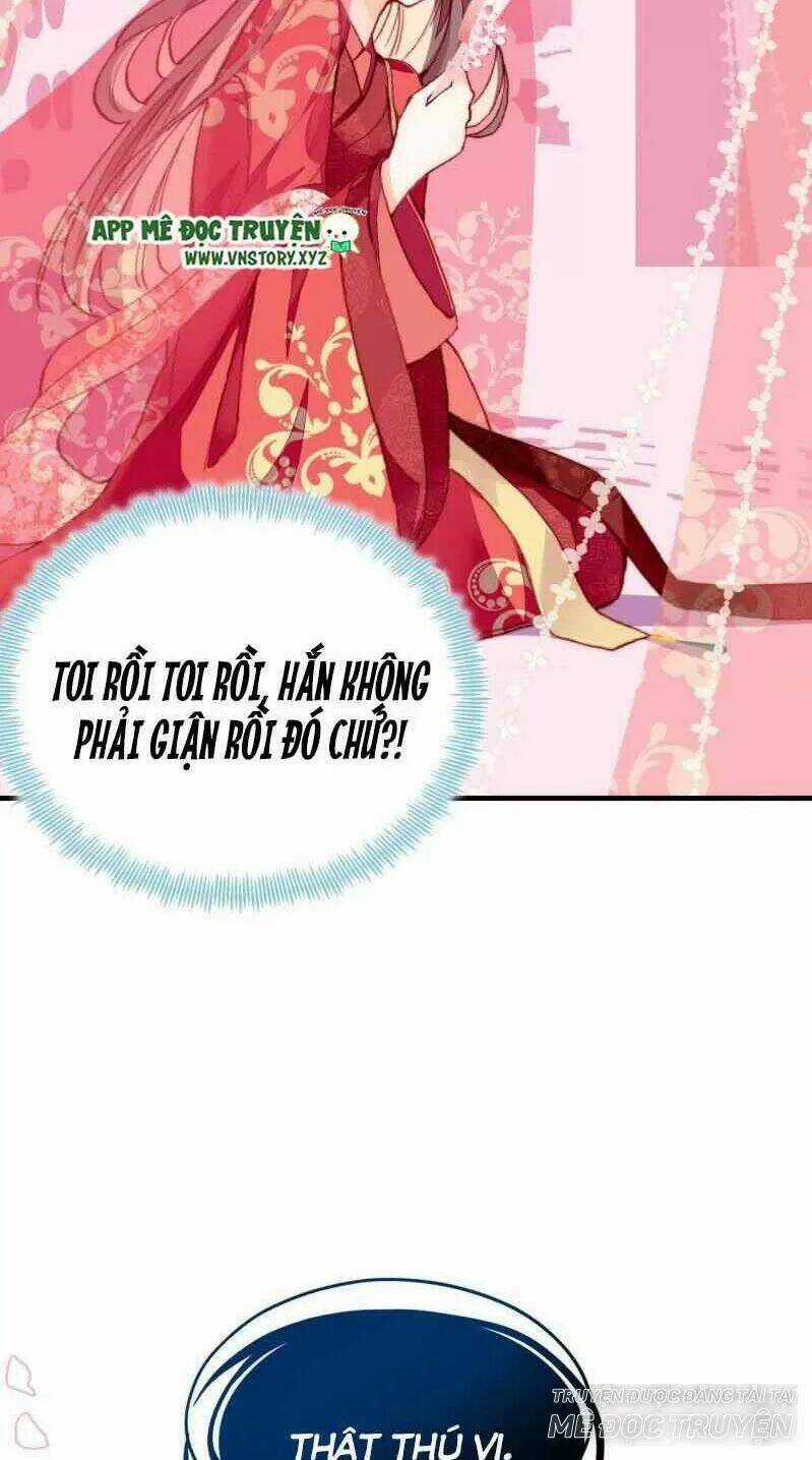 Lại Bị Bệnh Chiều Chuộng Quấn Lấy Chapter 2 trang 15