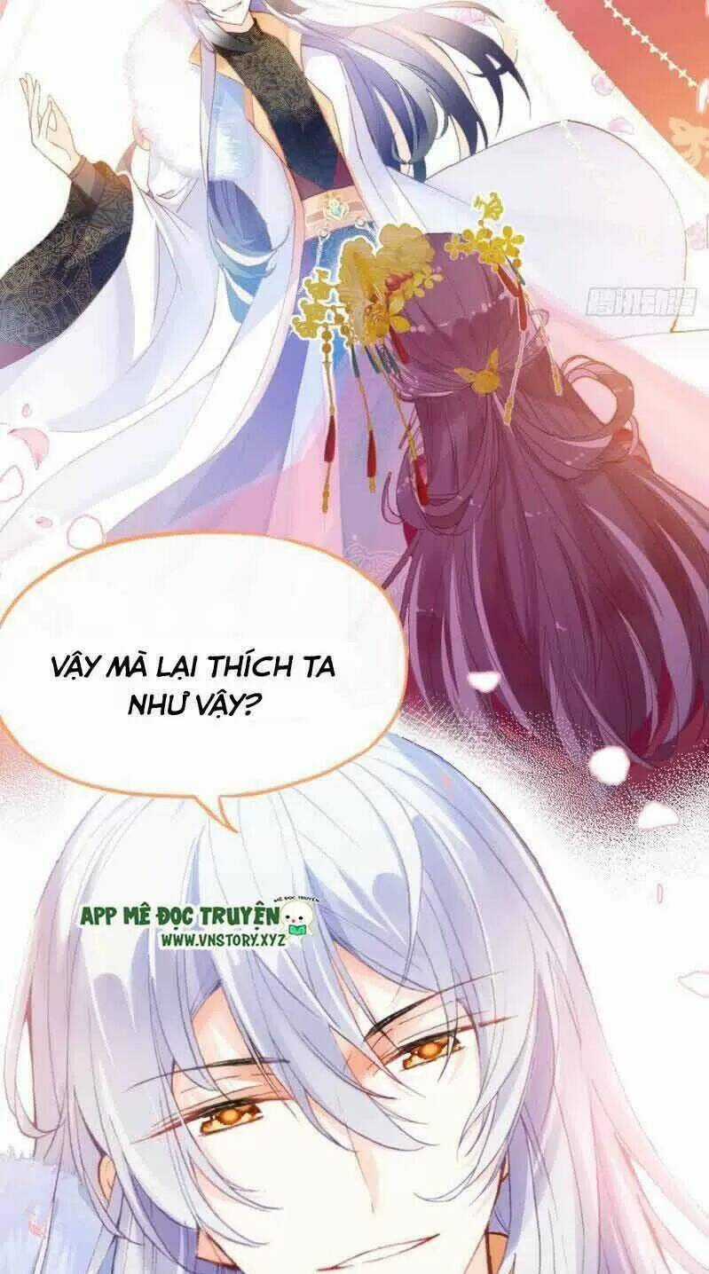 Lại Bị Bệnh Chiều Chuộng Quấn Lấy Chapter 2 trang 17