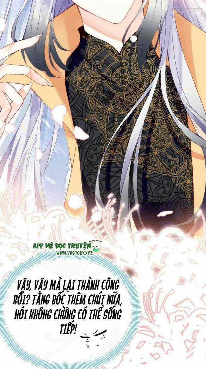 Lại Bị Bệnh Chiều Chuộng Quấn Lấy Chapter 2 trang 18