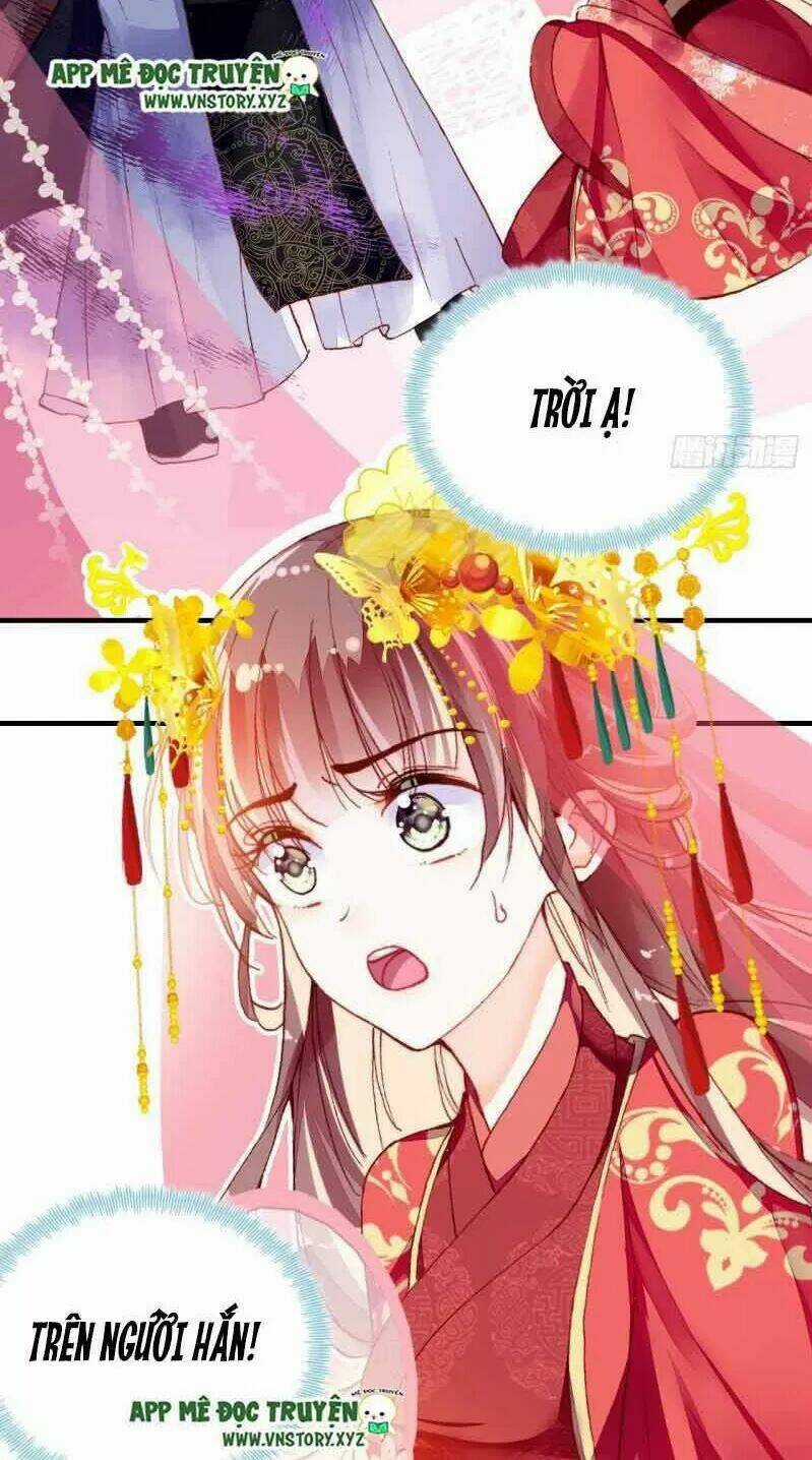Lại Bị Bệnh Chiều Chuộng Quấn Lấy Chapter 2 trang 23