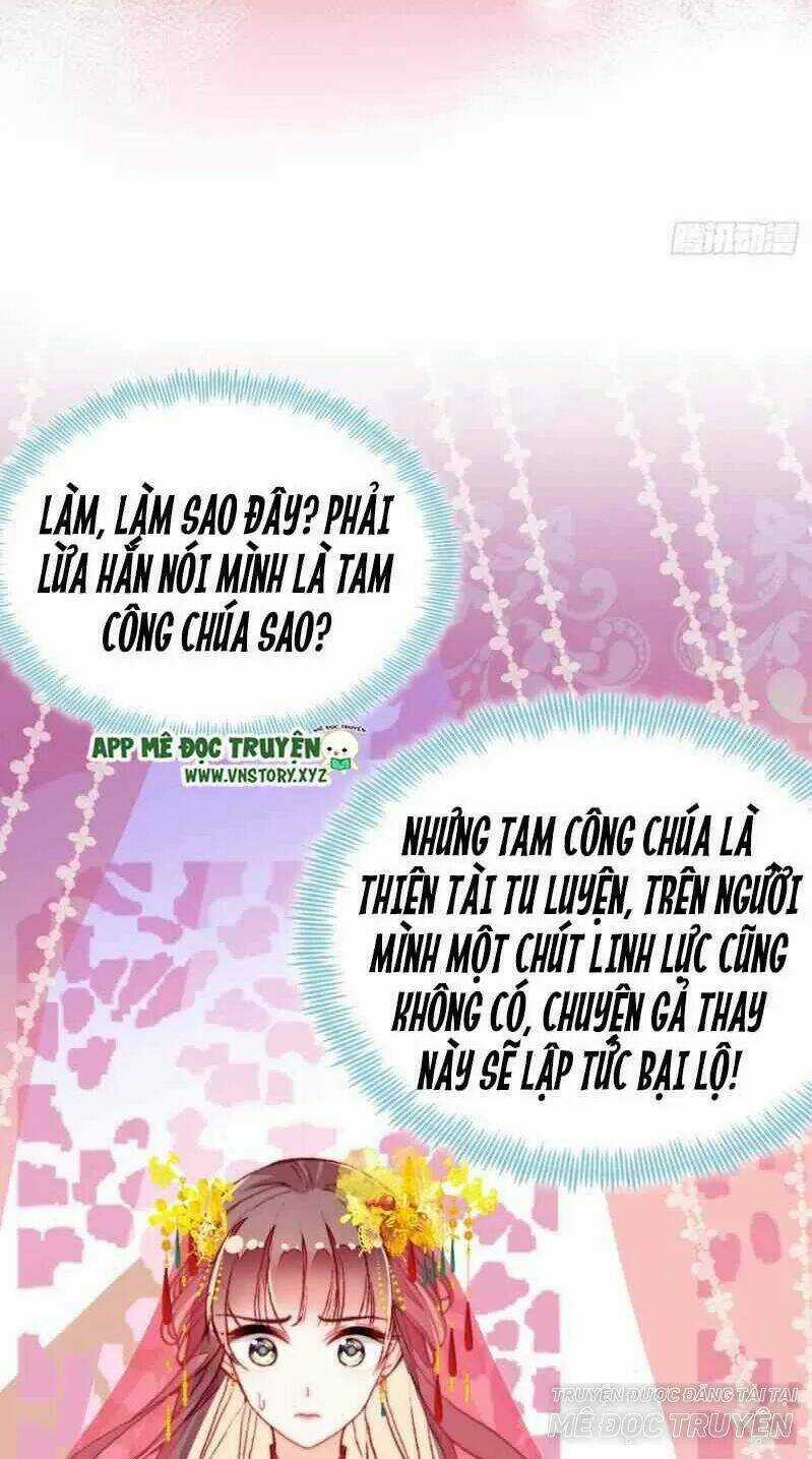 Lại Bị Bệnh Chiều Chuộng Quấn Lấy Chapter 2 trang 5