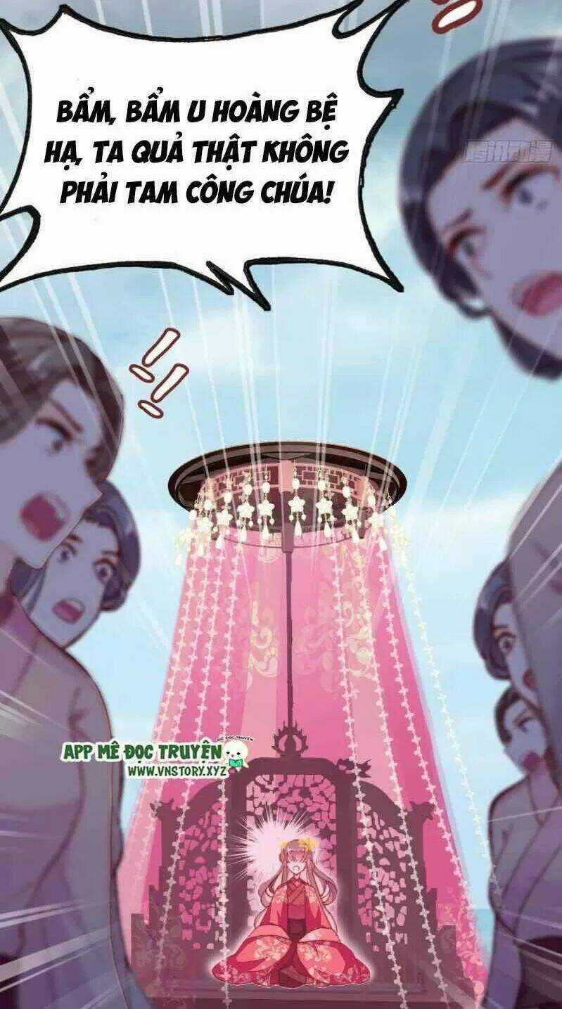 Lại Bị Bệnh Chiều Chuộng Quấn Lấy Chapter 2 trang 8