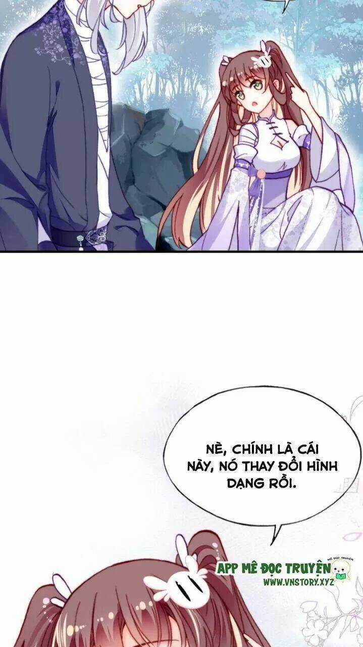 Lại Bị Bệnh Chiều Chuộng Quấn Lấy Chapter 20 trang 17