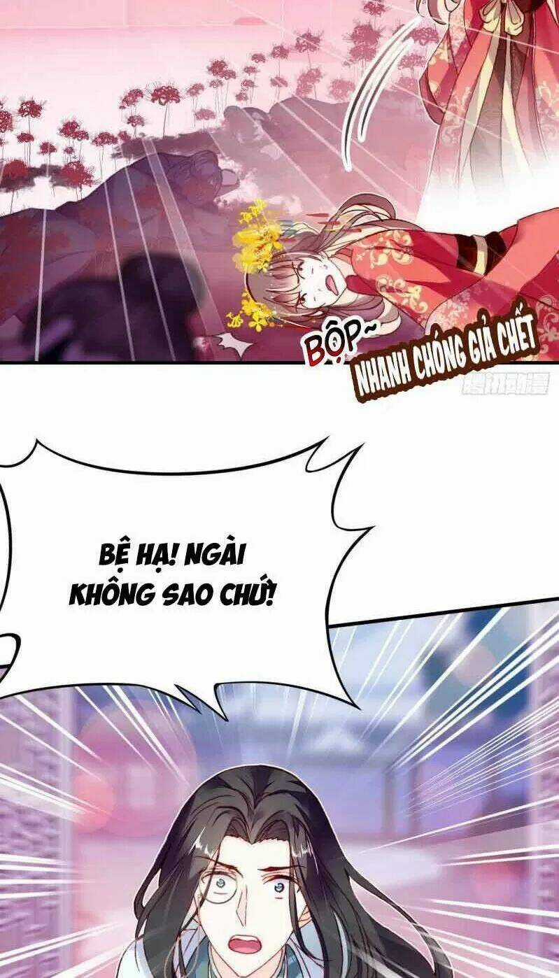 Lại Bị Bệnh Chiều Chuộng Quấn Lấy Chapter 3 trang 10