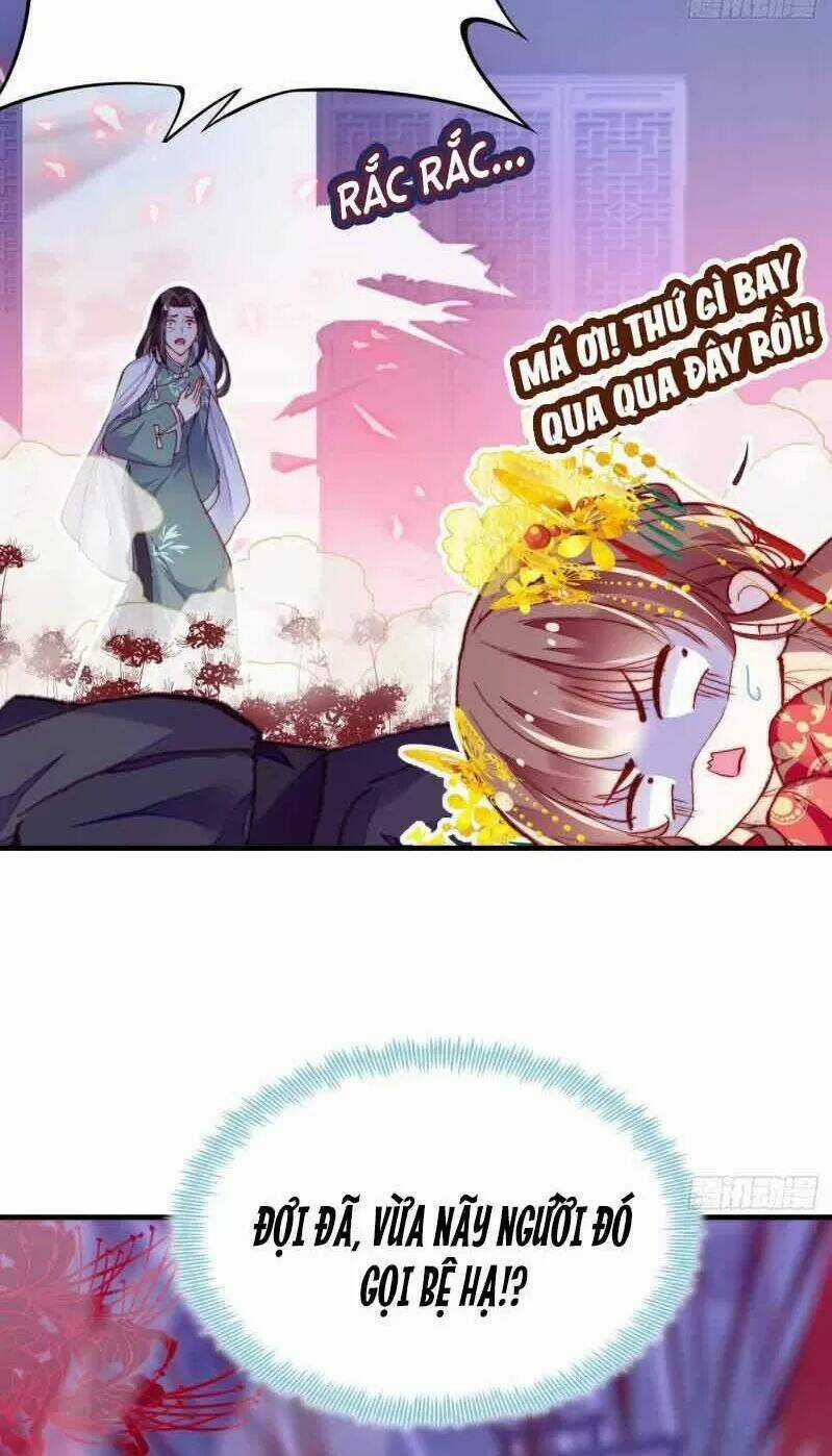 Lại Bị Bệnh Chiều Chuộng Quấn Lấy Chapter 3 trang 13