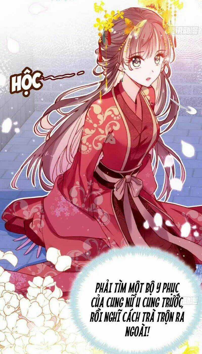 Lại Bị Bệnh Chiều Chuộng Quấn Lấy Chapter 3 trang 4