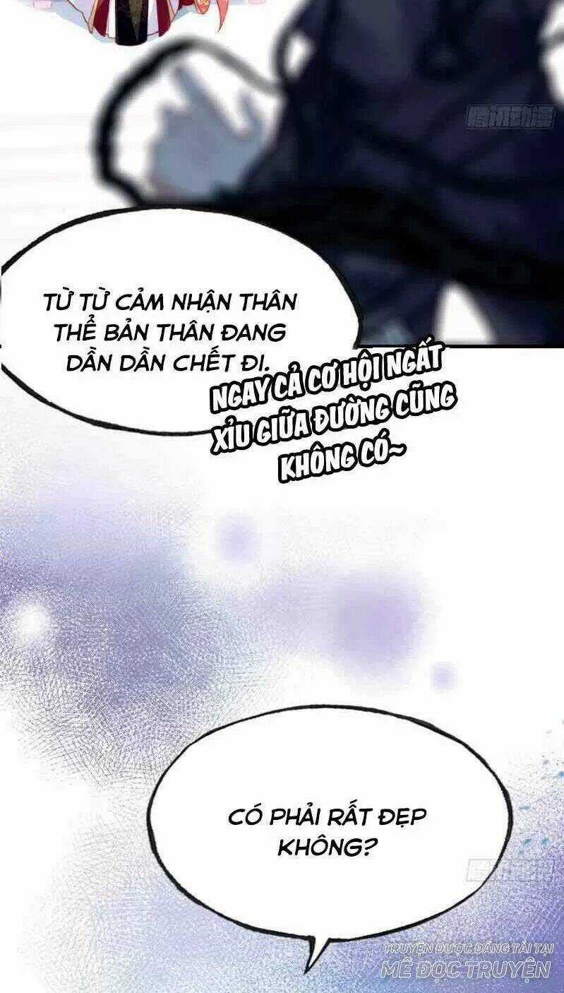 Lại Bị Bệnh Chiều Chuộng Quấn Lấy Chapter 3 trang 49