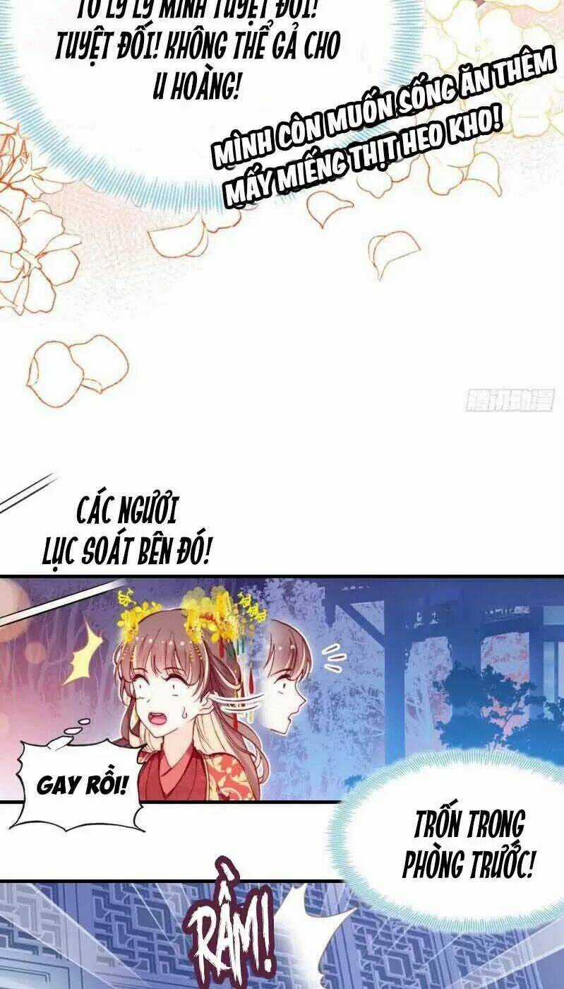 Lại Bị Bệnh Chiều Chuộng Quấn Lấy Chapter 3 trang 5