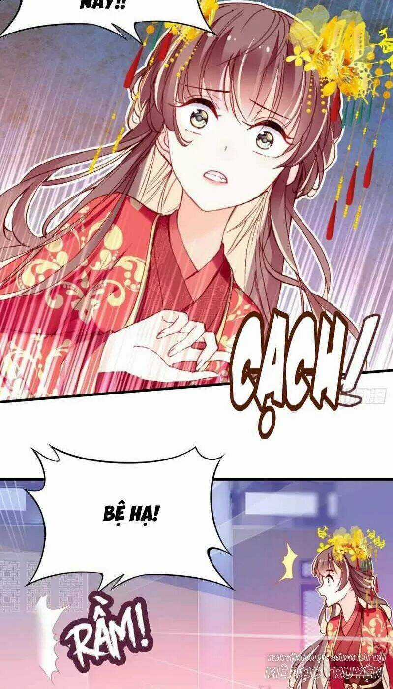 Lại Bị Bệnh Chiều Chuộng Quấn Lấy Chapter 3 trang 9