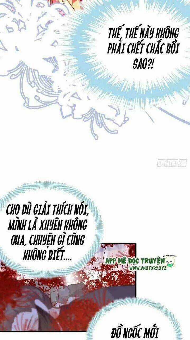Lại Bị Bệnh Chiều Chuộng Quấn Lấy Chapter 4 trang 14