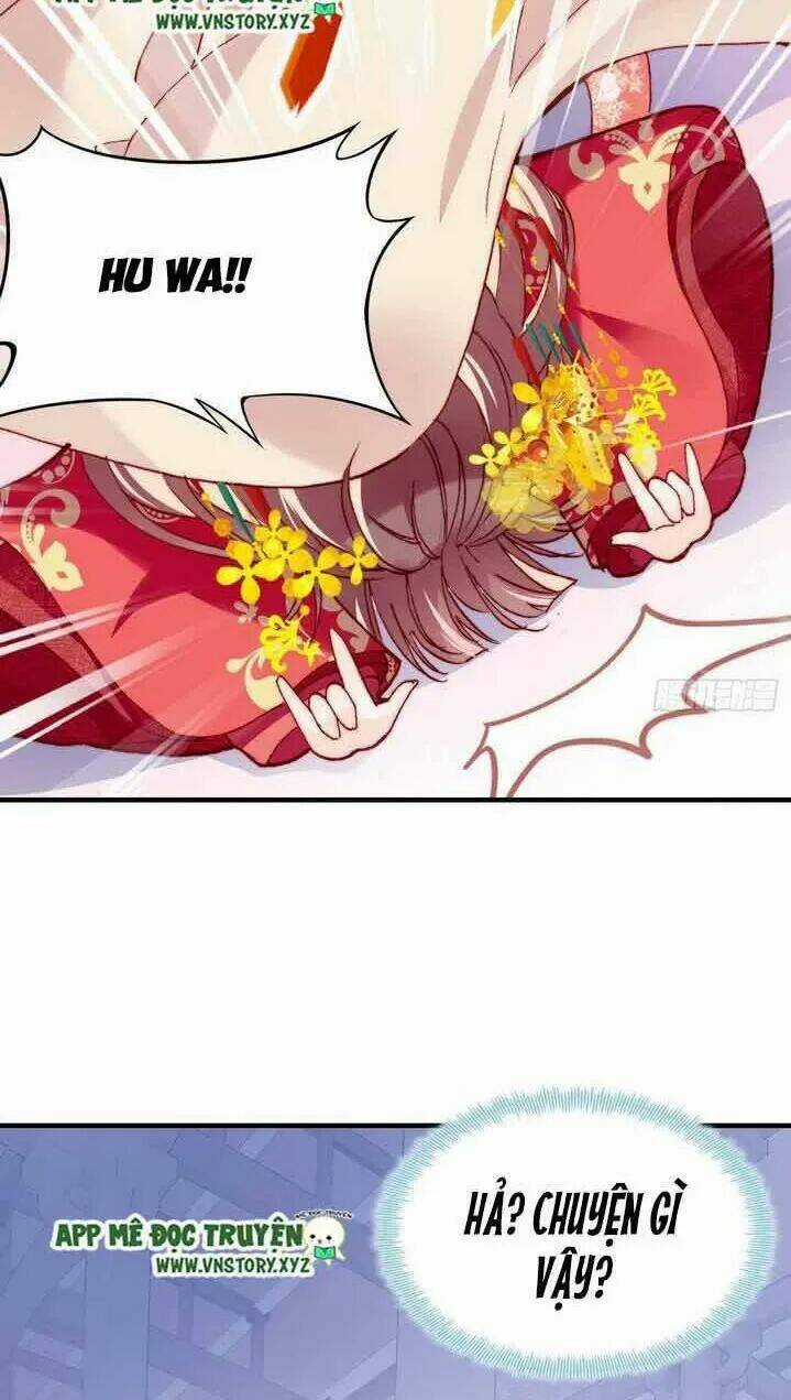Lại Bị Bệnh Chiều Chuộng Quấn Lấy Chapter 4 trang 43