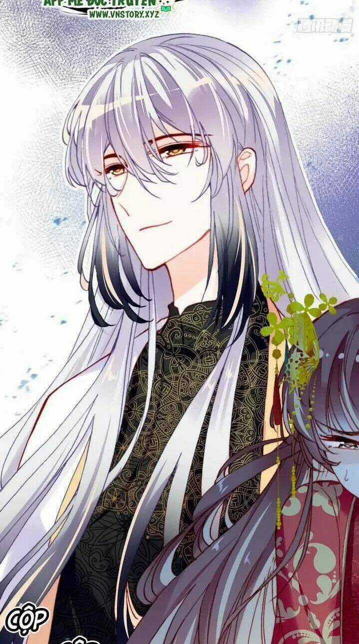 Lại Bị Bệnh Chiều Chuộng Quấn Lấy Chapter 4 trang 5