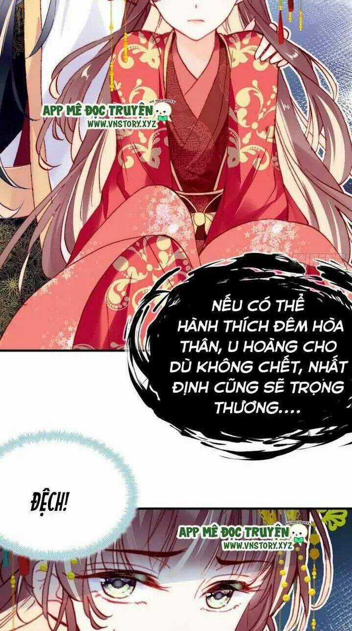 Lại Bị Bệnh Chiều Chuộng Quấn Lấy Chapter 4 trang 7