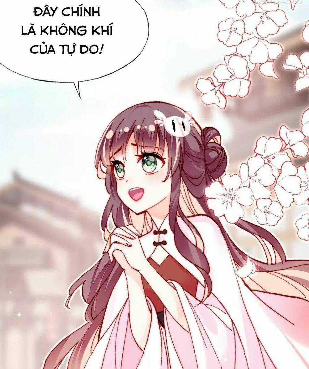 Lại Bị Bệnh Chiều Chuộng Quấn Lấy Chapter 40 trang 67