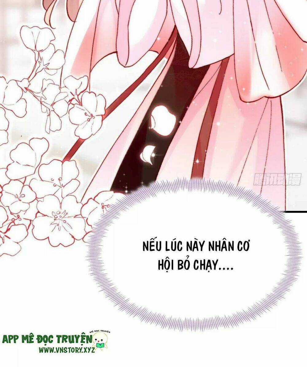 Lại Bị Bệnh Chiều Chuộng Quấn Lấy Chapter 40 trang 68