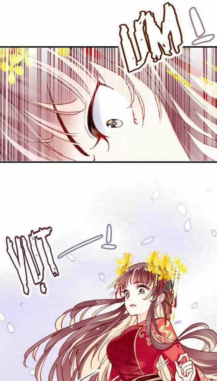 Lại Bị Bệnh Chiều Chuộng Quấn Lấy Chapter 5 trang 12