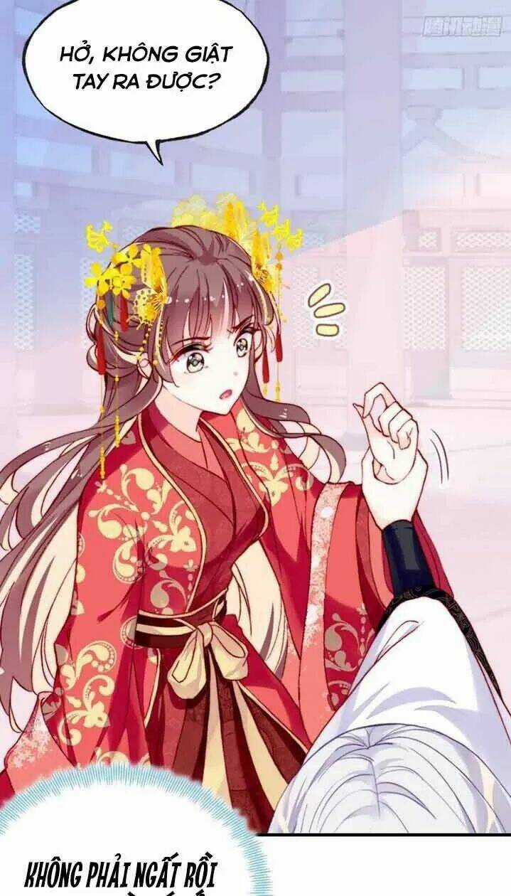 Lại Bị Bệnh Chiều Chuộng Quấn Lấy Chapter 5 trang 14