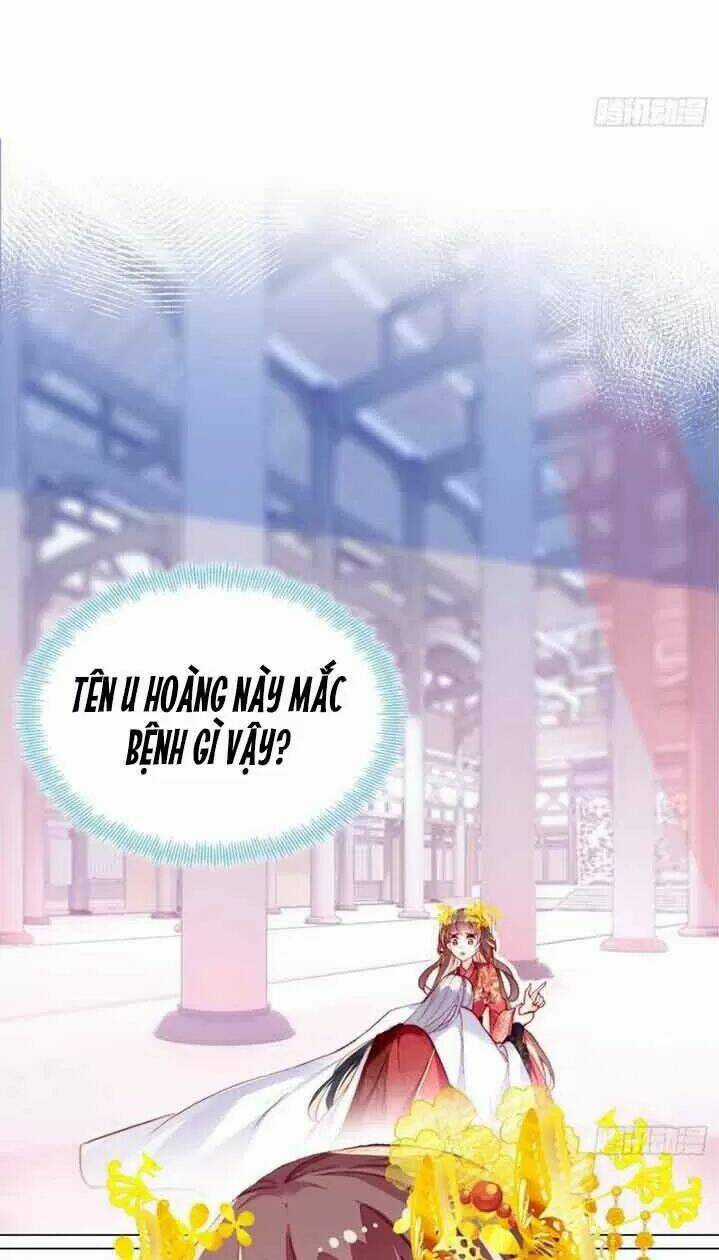 Lại Bị Bệnh Chiều Chuộng Quấn Lấy Chapter 5 trang 2