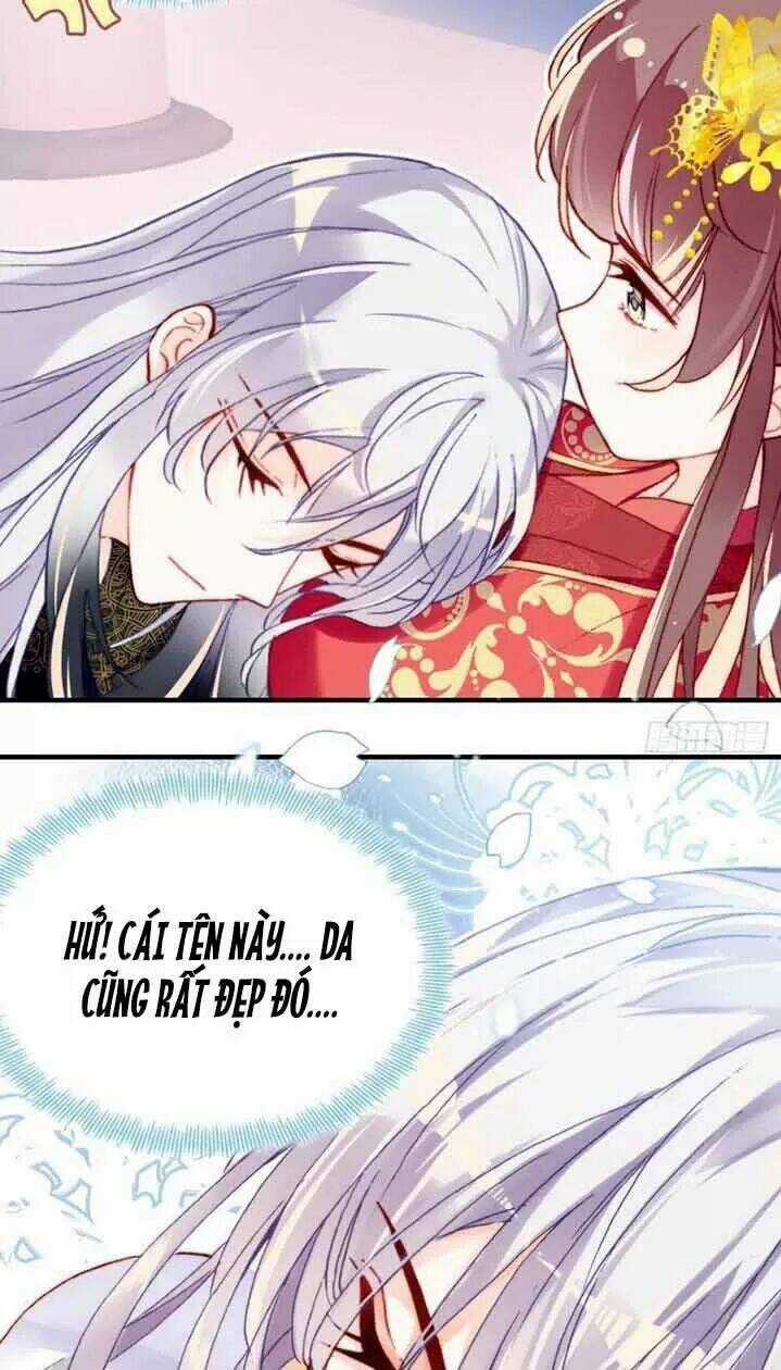 Lại Bị Bệnh Chiều Chuộng Quấn Lấy Chapter 5 trang 4