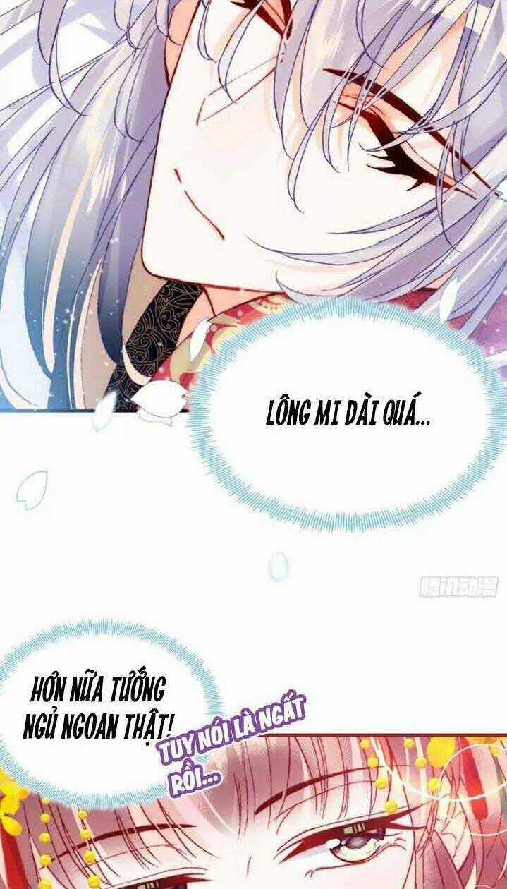 Lại Bị Bệnh Chiều Chuộng Quấn Lấy Chapter 5 trang 5