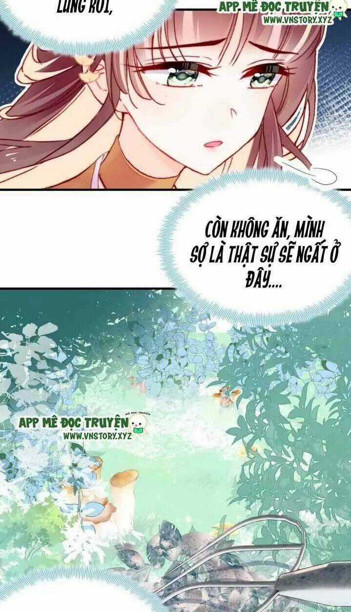 Lại Bị Bệnh Chiều Chuộng Quấn Lấy Chapter 7 trang 29