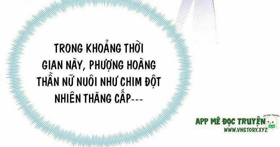 Lại Bị Bệnh Chiều Chuộng Quấn Lấy Chapter 71 trang 7
