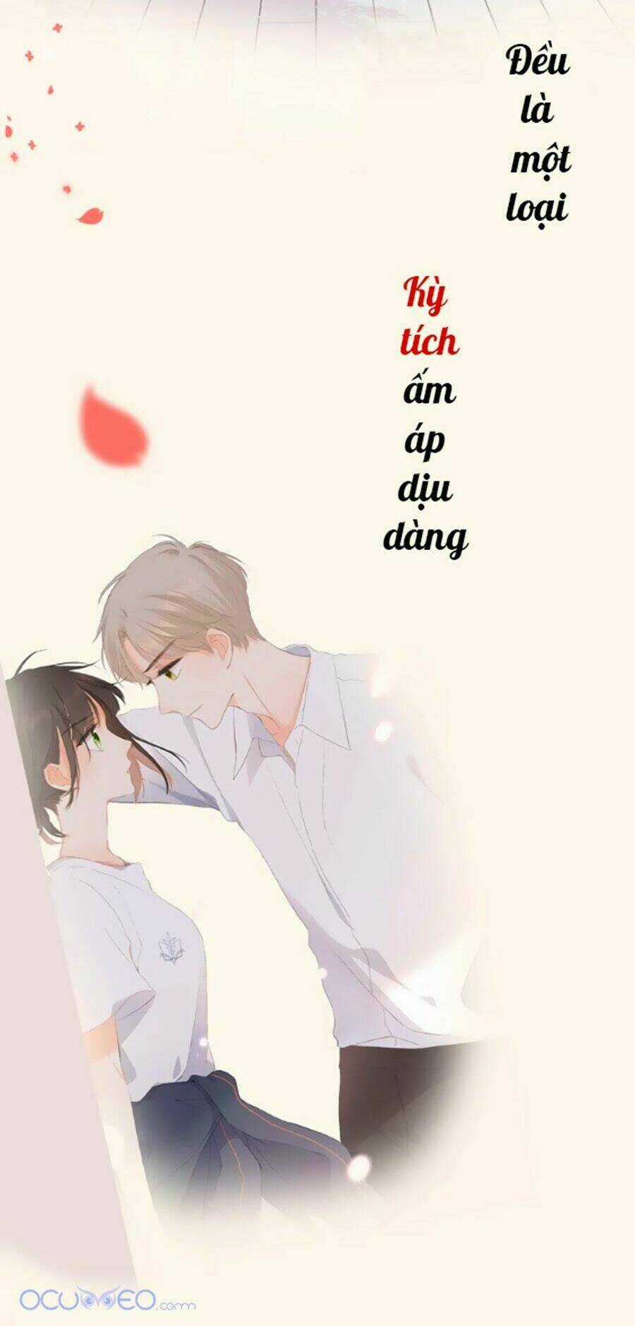 Lại Gặp Được Em Chapter 0.2 trang 2