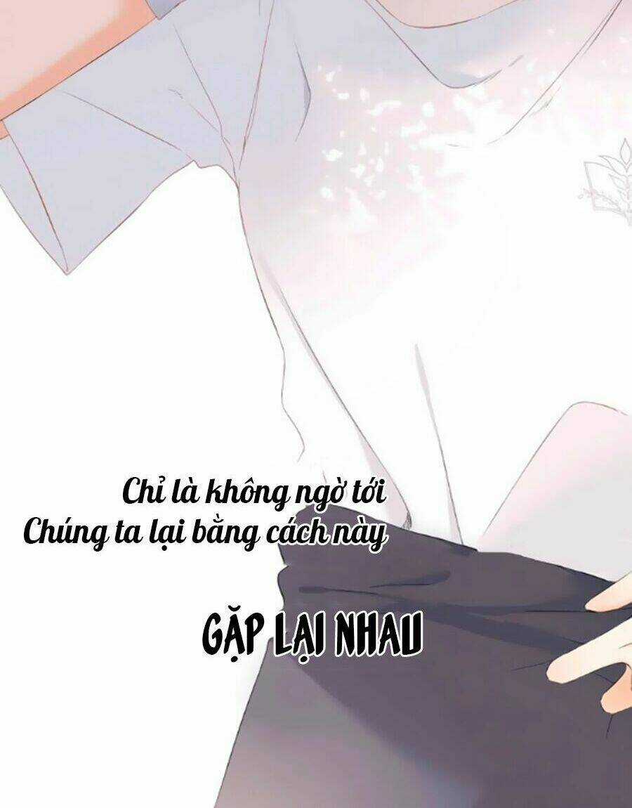Lại Gặp Được Em Chapter 0.3 trang 11