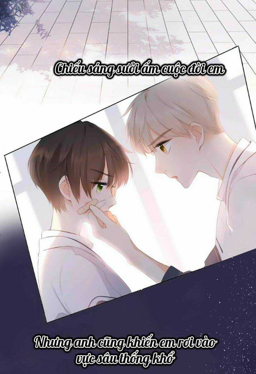 Lại Gặp Được Em Chapter 0.3 trang 5