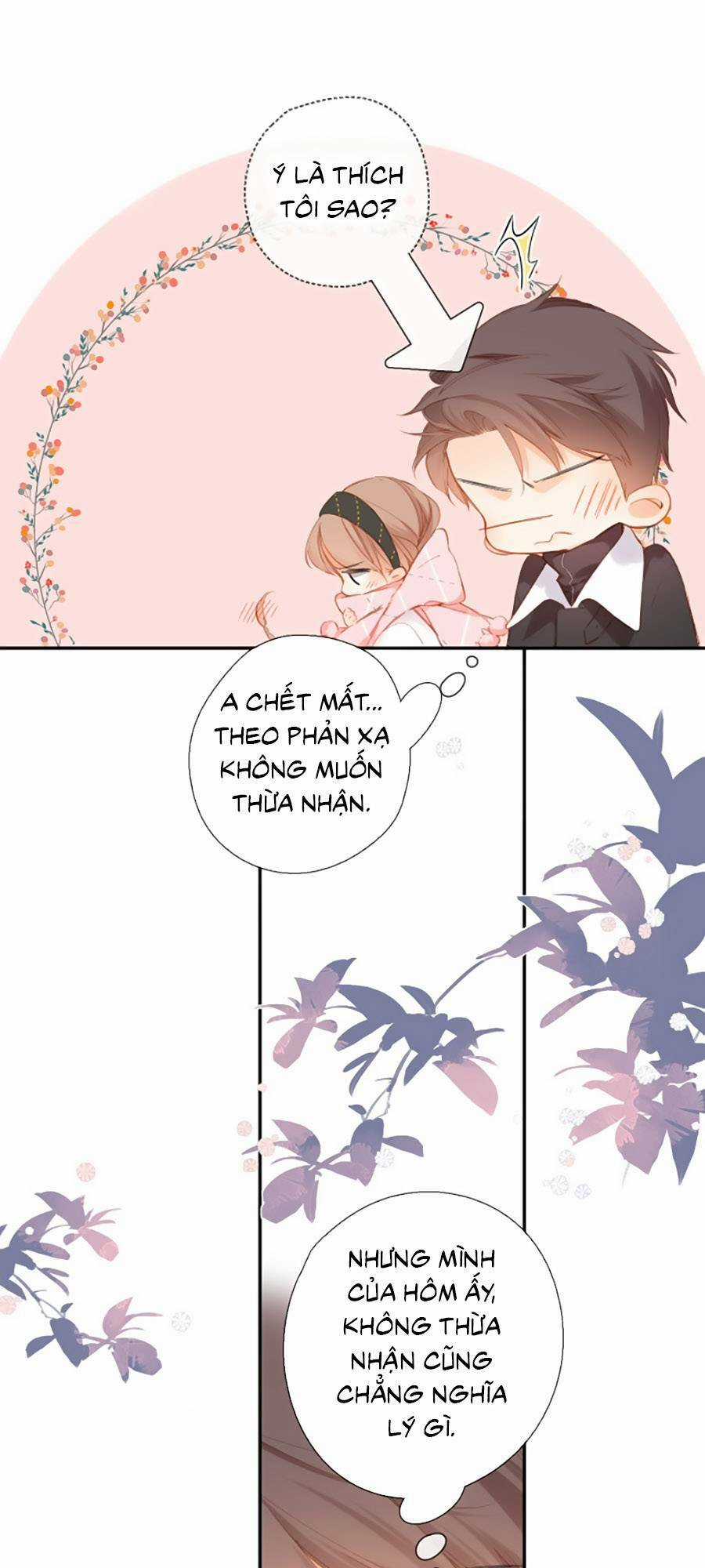 Lại Gặp Được Em Chapter 114 trang 13