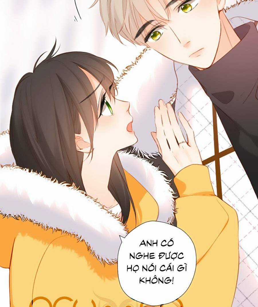 Lại Gặp Được Em Chapter 114 trang 3