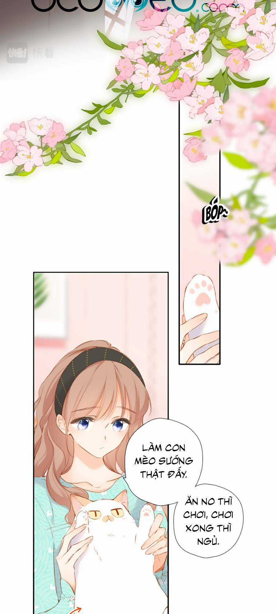 Lại Gặp Được Em Chapter 118 trang 20