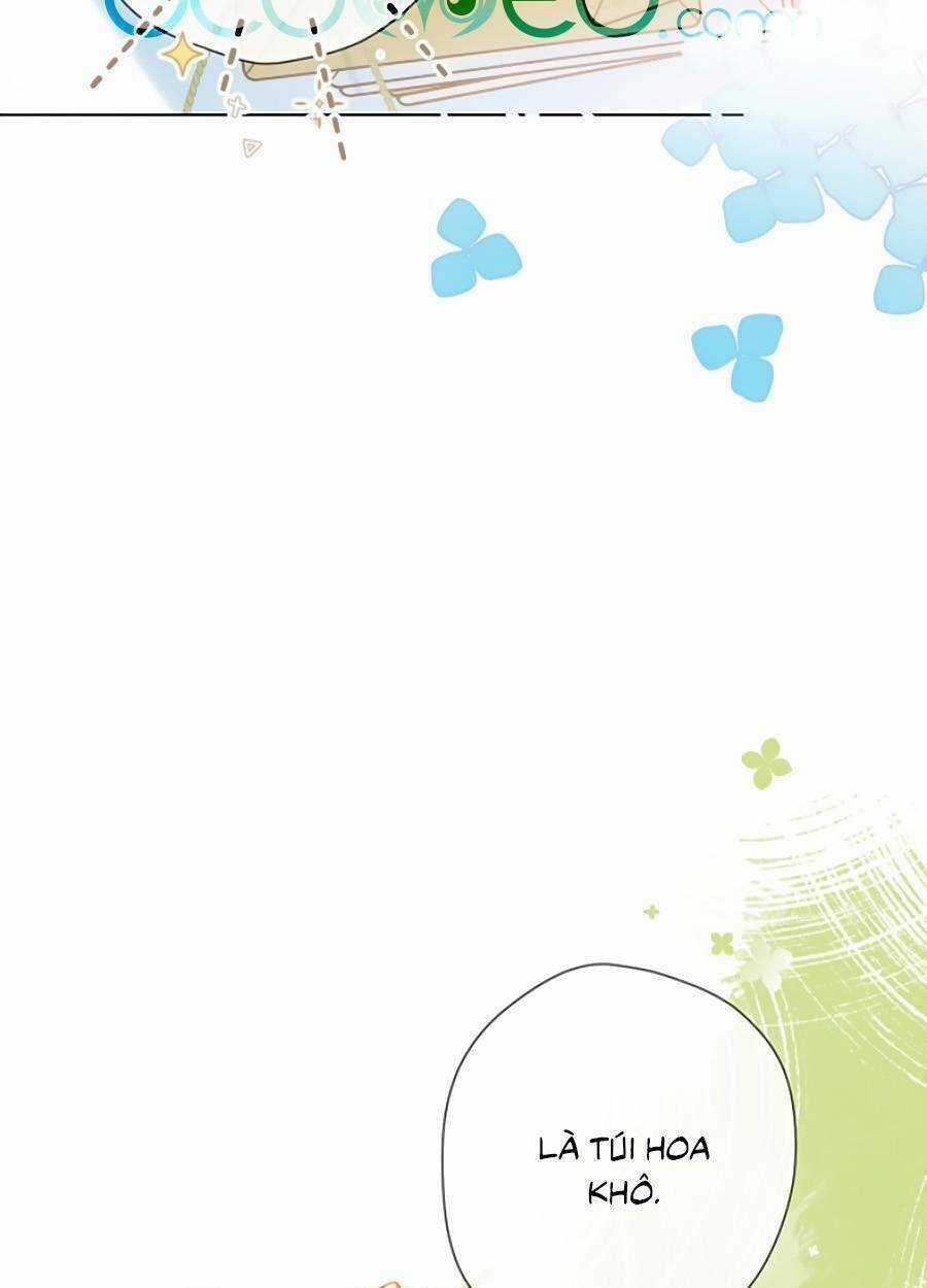 Lại Gặp Được Em Chapter 129 trang 7