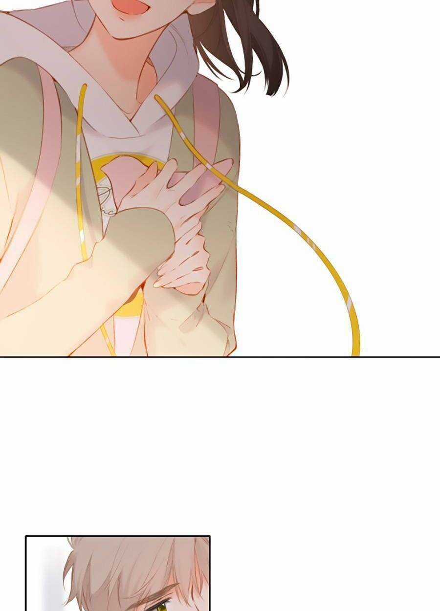 Lại Gặp Được Em Chapter 131 trang 32