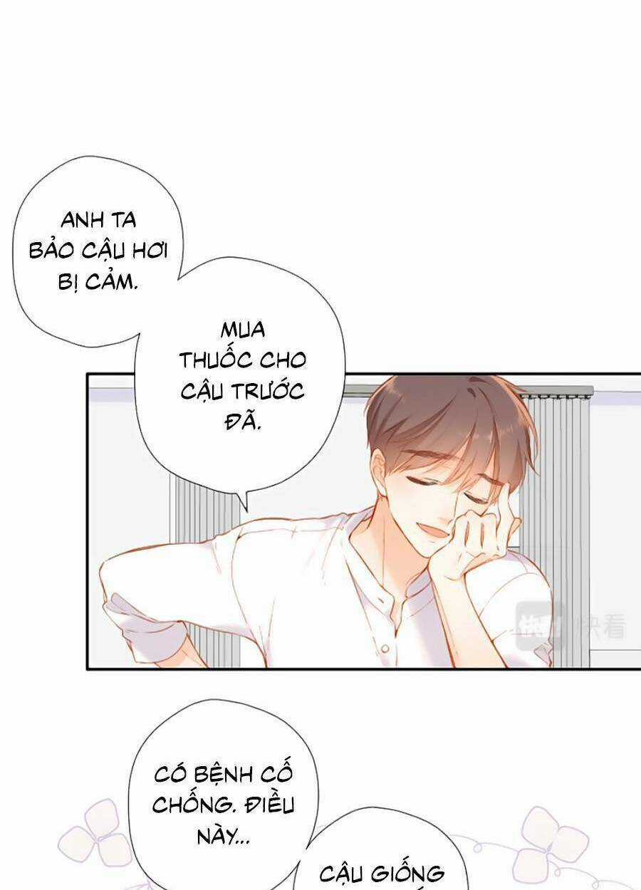 Lại Gặp Được Em Chapter 133 trang 22