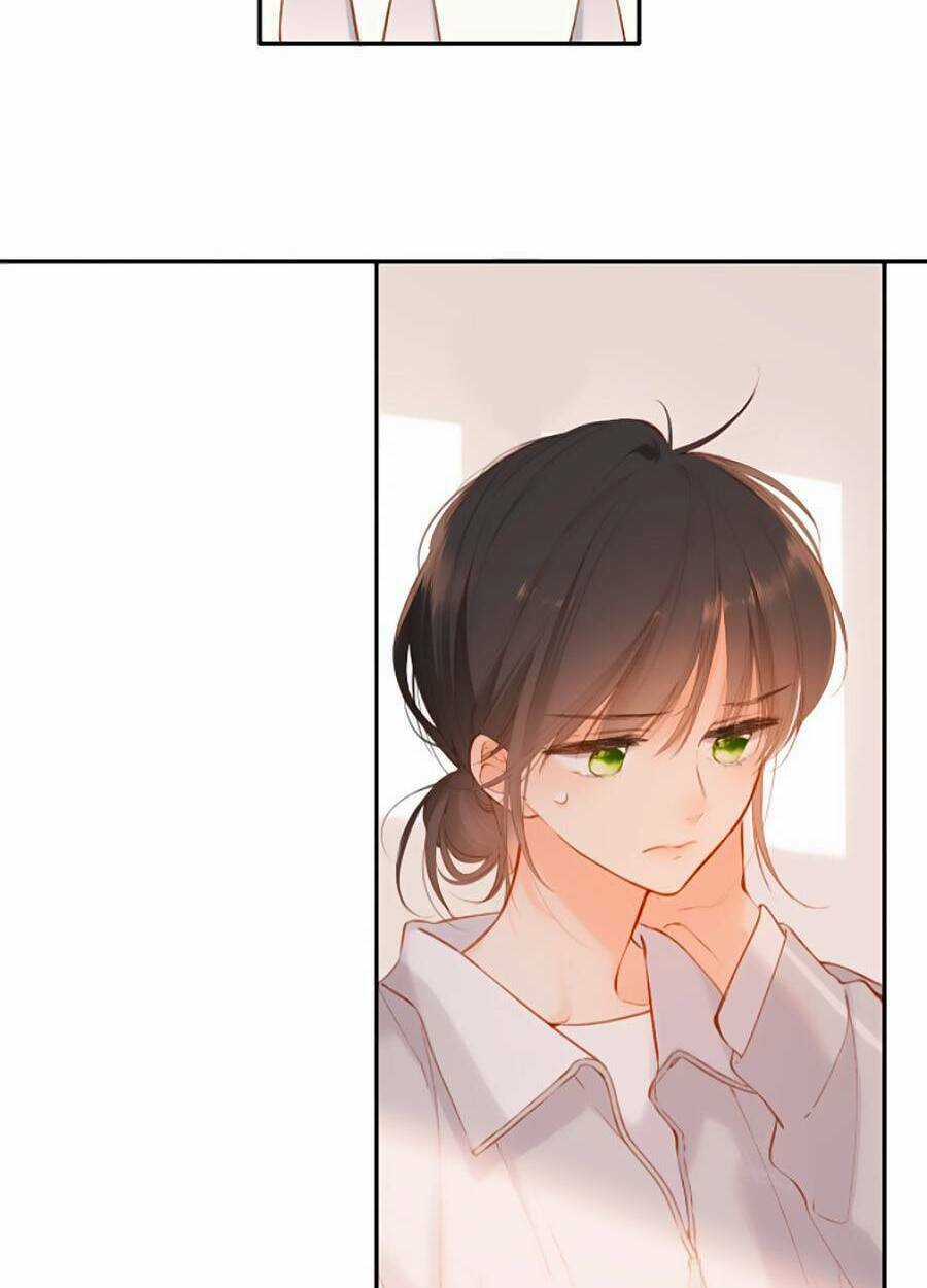 Lại Gặp Được Em Chapter 133 trang 4