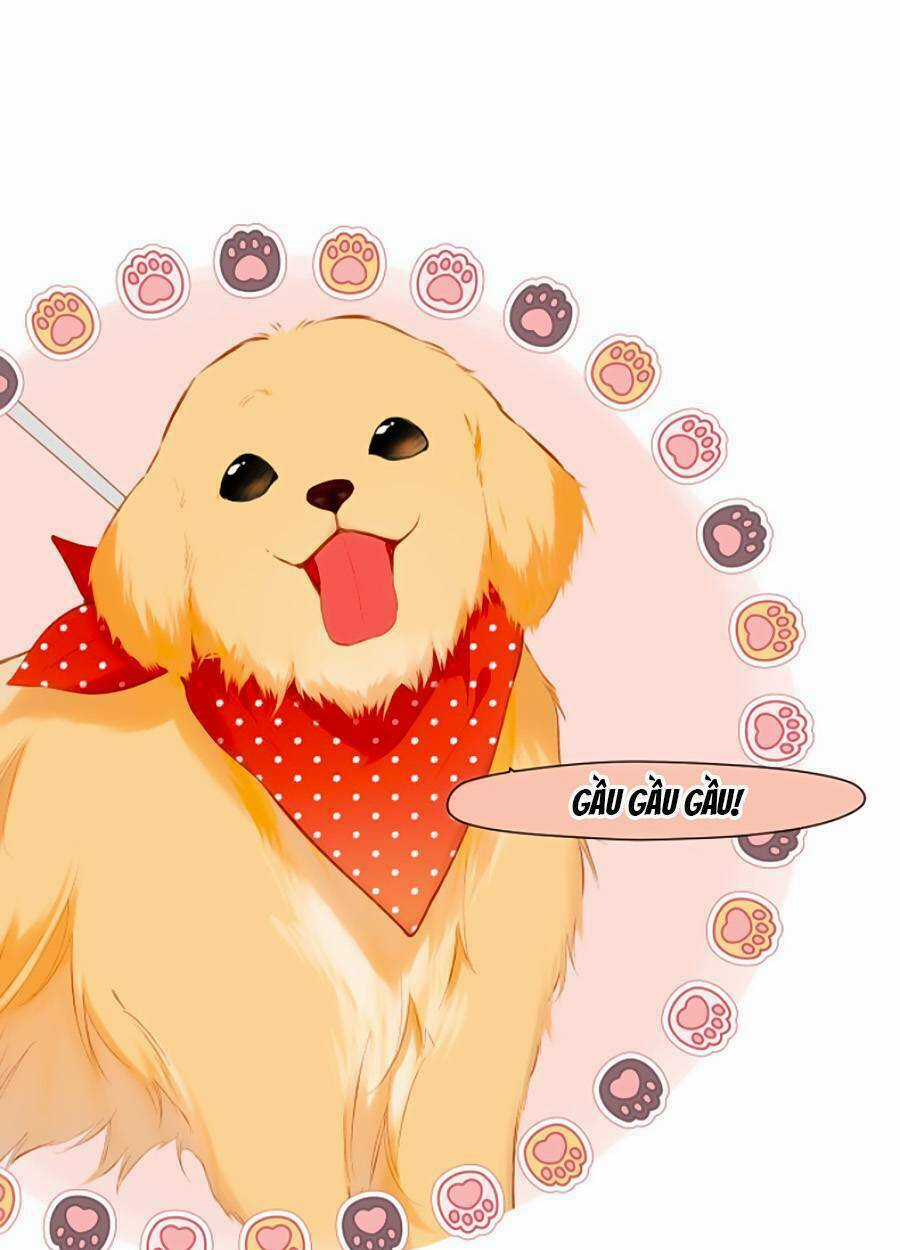 Lại Gặp Được Em Chapter 134 trang 1